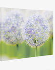 Botanical Wall Art, Allium Print, Modern Farmhouse Artwork, 'Blue Allium'