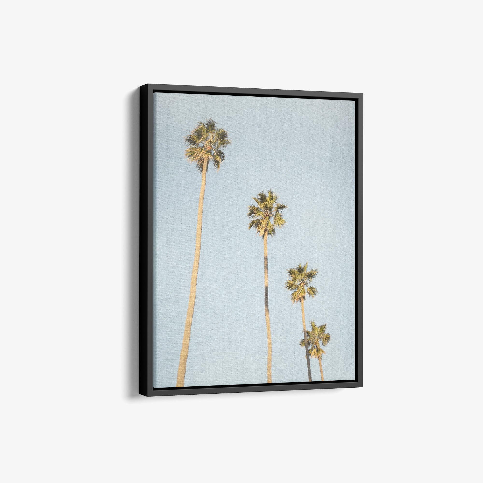 Los Angeles Palm Tree Canvas Wall Art, 'Palm Stairs to Heaven'