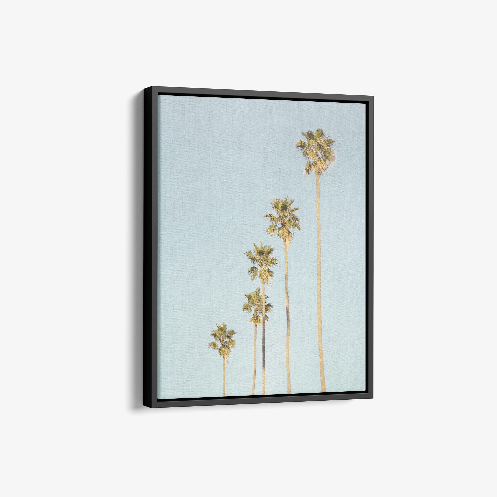 Los Angeles Palm Tree Canvas Photographic Print 'Palm Tree Steps'