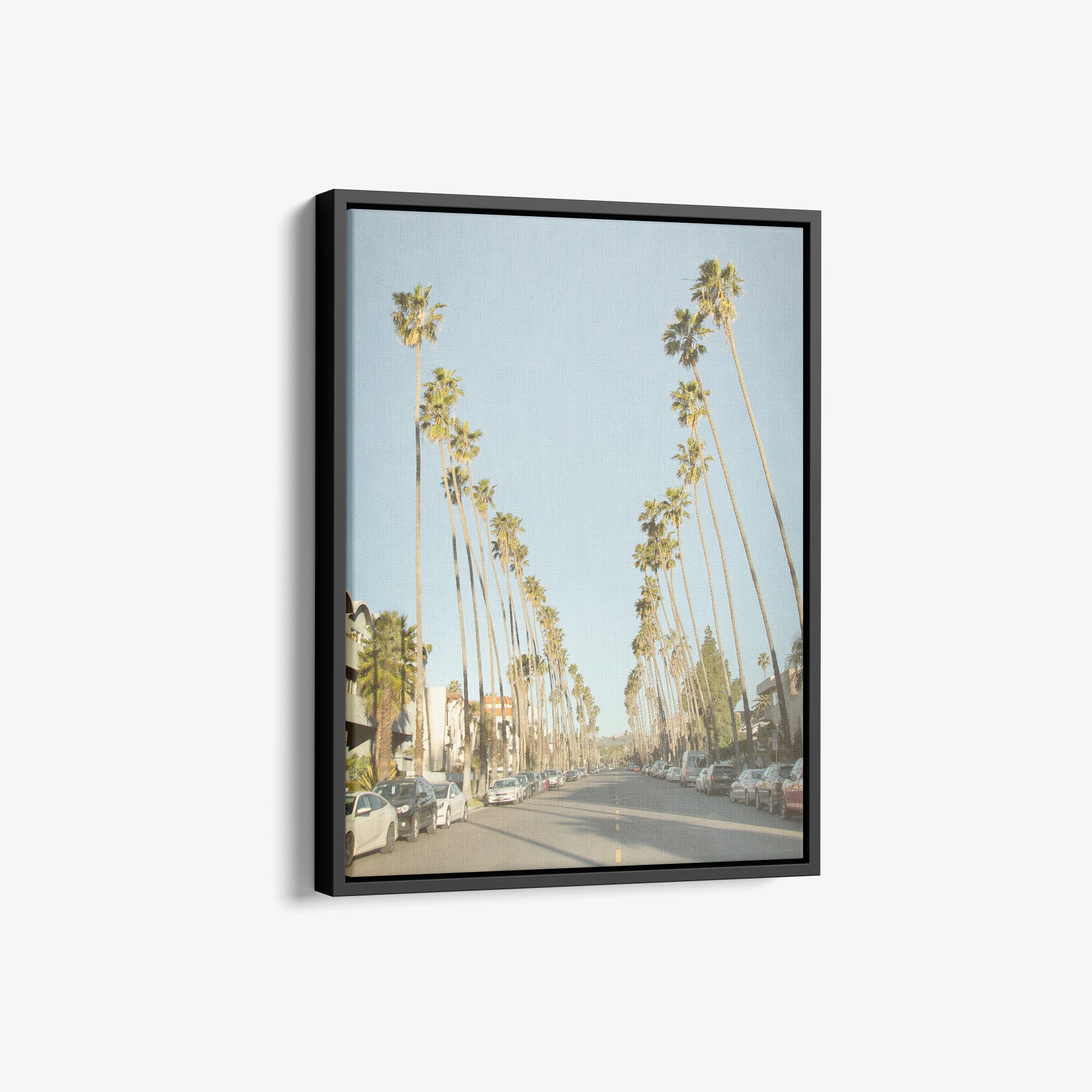 Los Angeles Palm Tree Lined Street Canvas Print 'Avenue of the Palms'