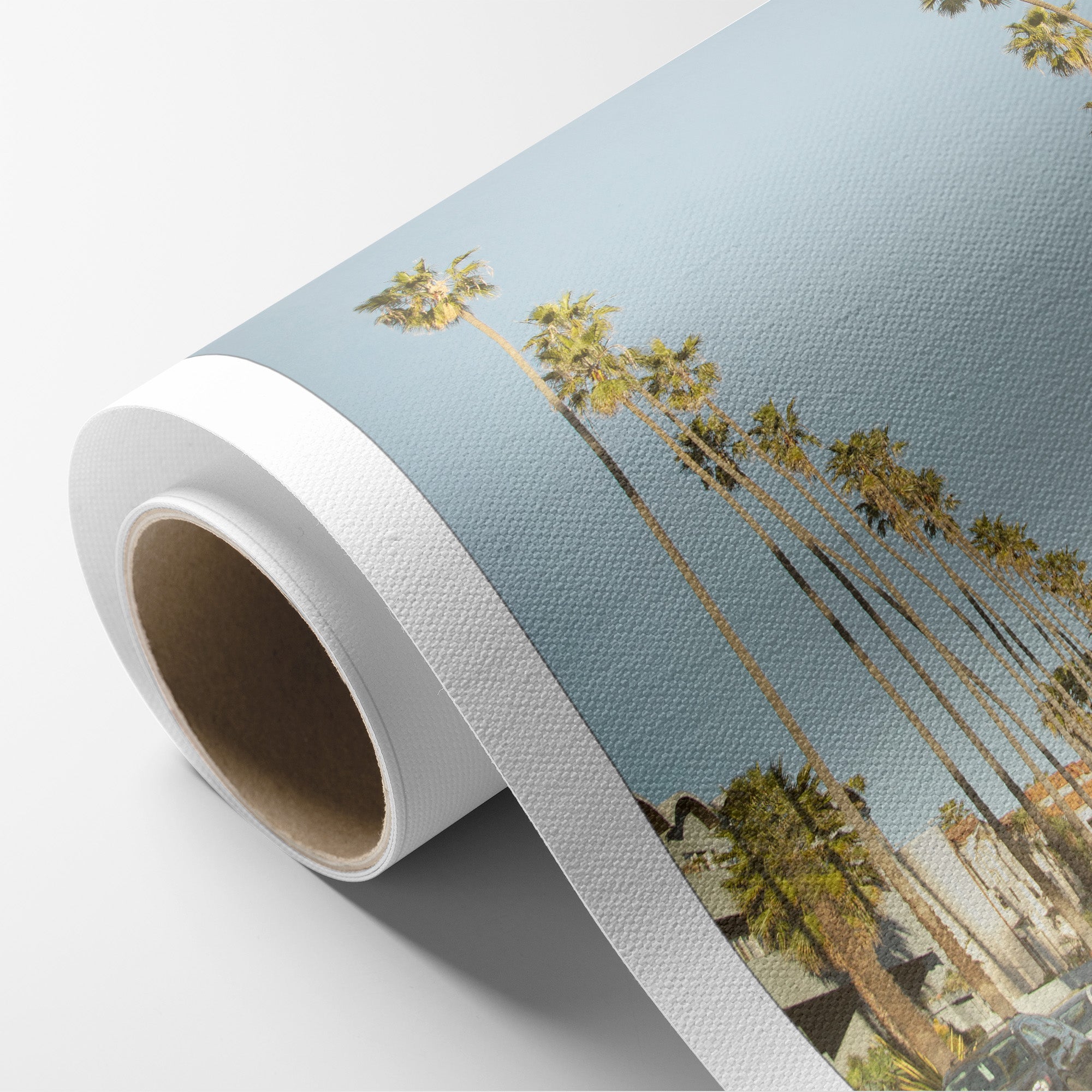 Los Angeles Palm Tree Lined Street Canvas Print 'Avenue of the Palms'