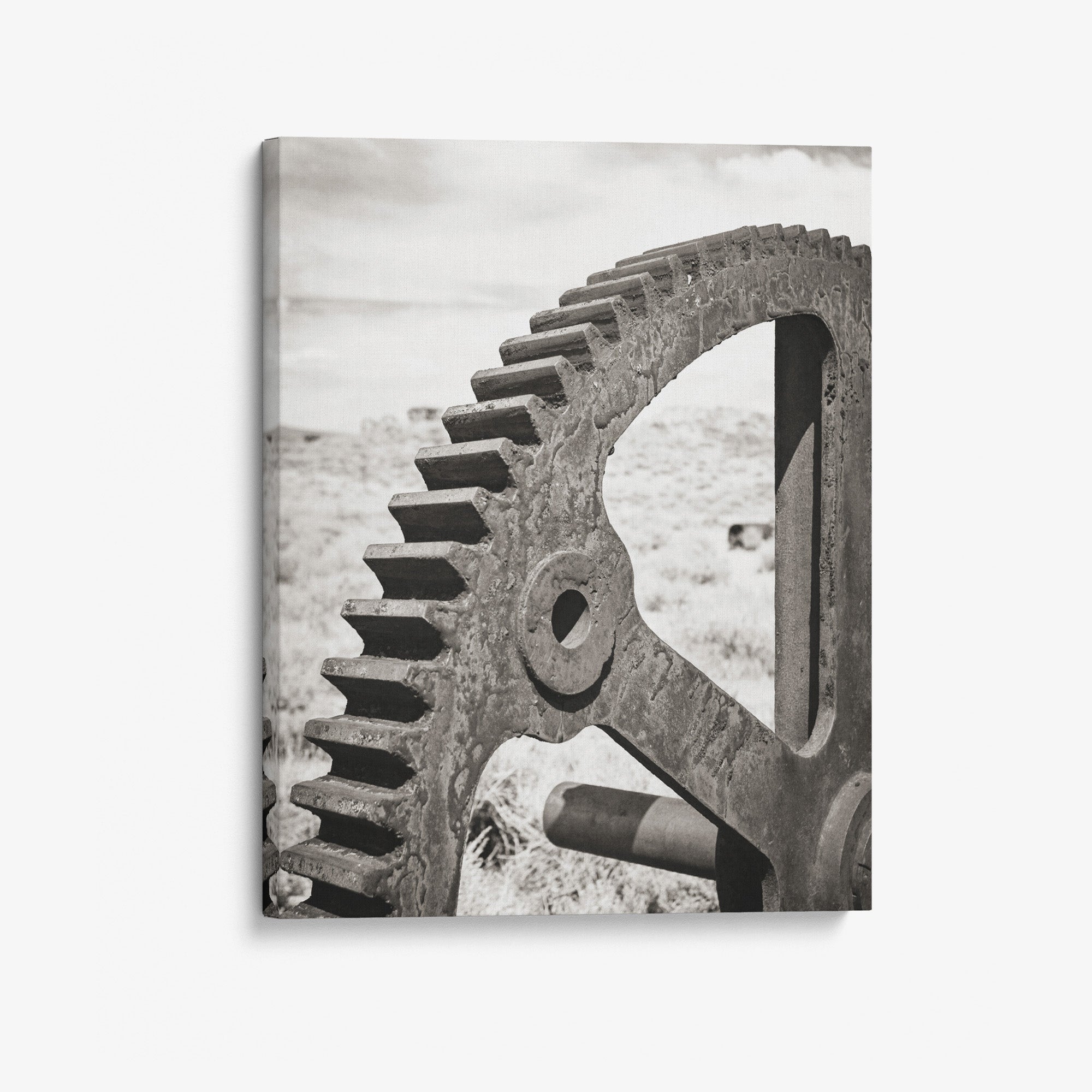 Rustic Industrial Canvas Wall Art, 'Giant Rusty Cog (Black & White)'