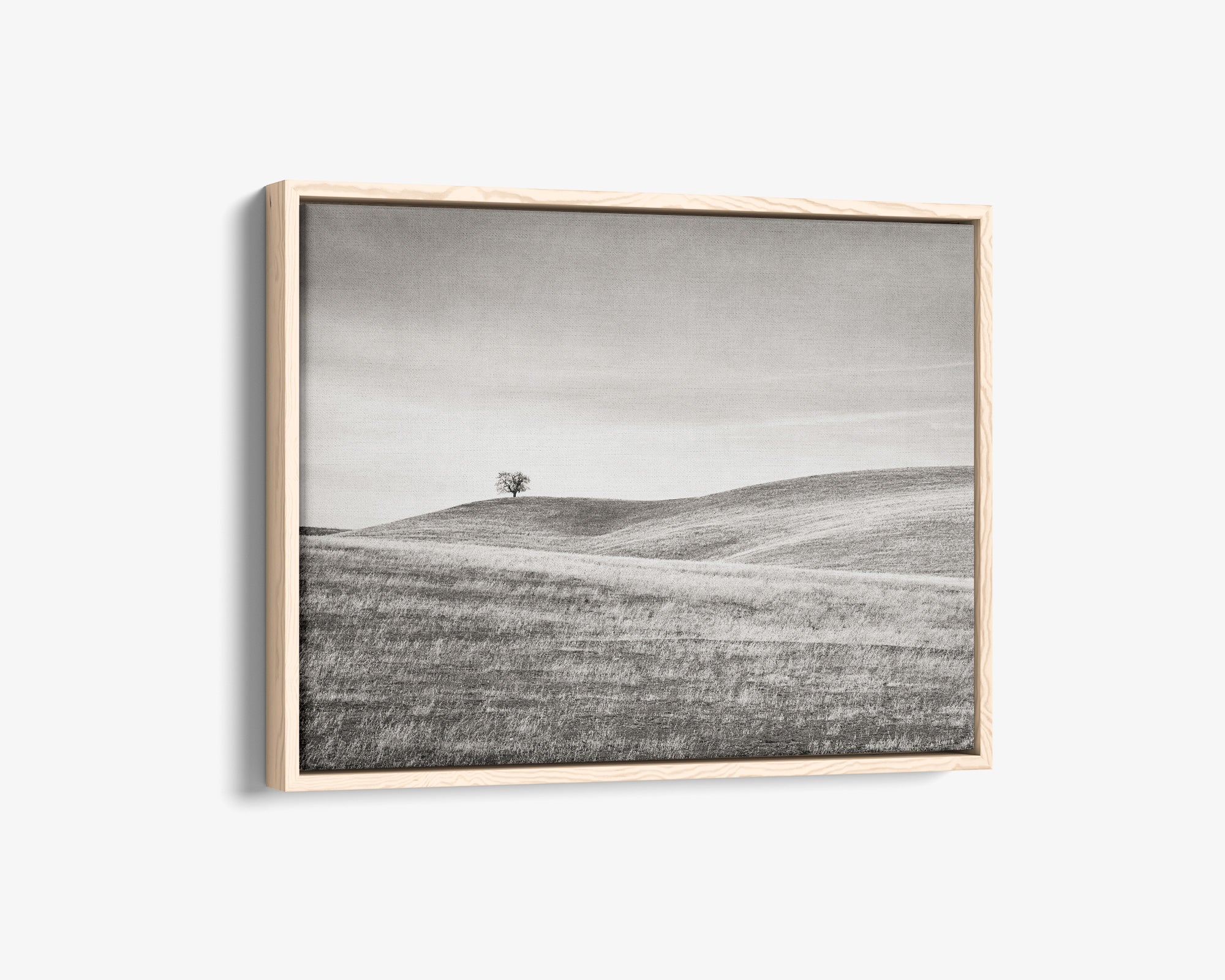 California Central Coast Landscape Canvas Wall Decor 'Golden Ynez (Black & White)'