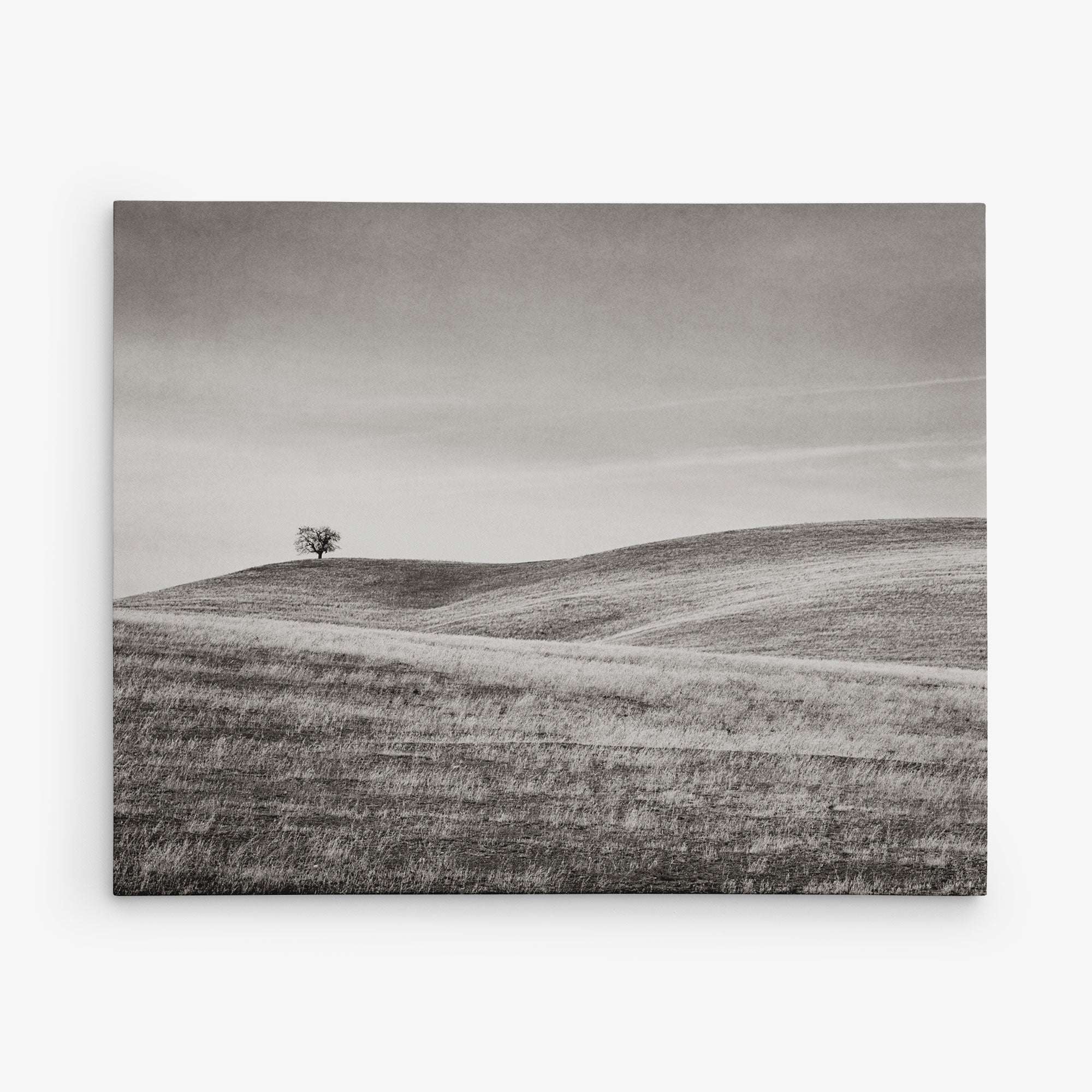 Offley Green's 8x10 Rustic Canvas Print, featuring over 10 designs, captures solitude and openness with a black and white scene of grassy hills and a lone tree under a cloudy sky.