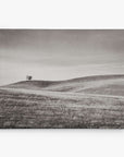 Offley Green's 8x10 Rustic Canvas Print, featuring over 10 designs, captures solitude and openness with a black and white scene of grassy hills and a lone tree under a cloudy sky.