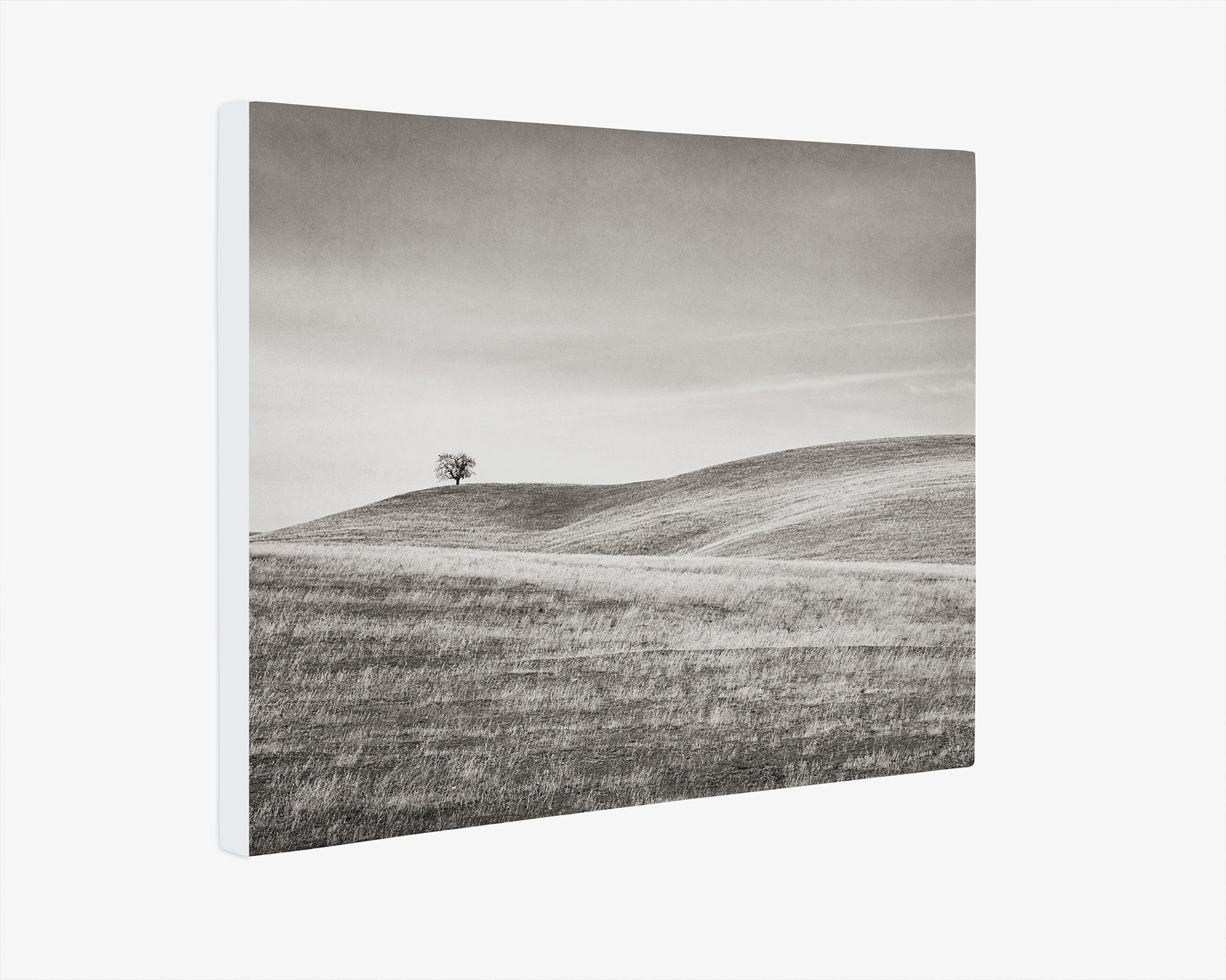 California Central Coast Landscape Canvas Wall Decor 'Golden Ynez (Black & White)'