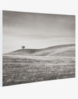 California Central Coast Landscape Canvas Wall Decor 'Golden Ynez (Black & White)'