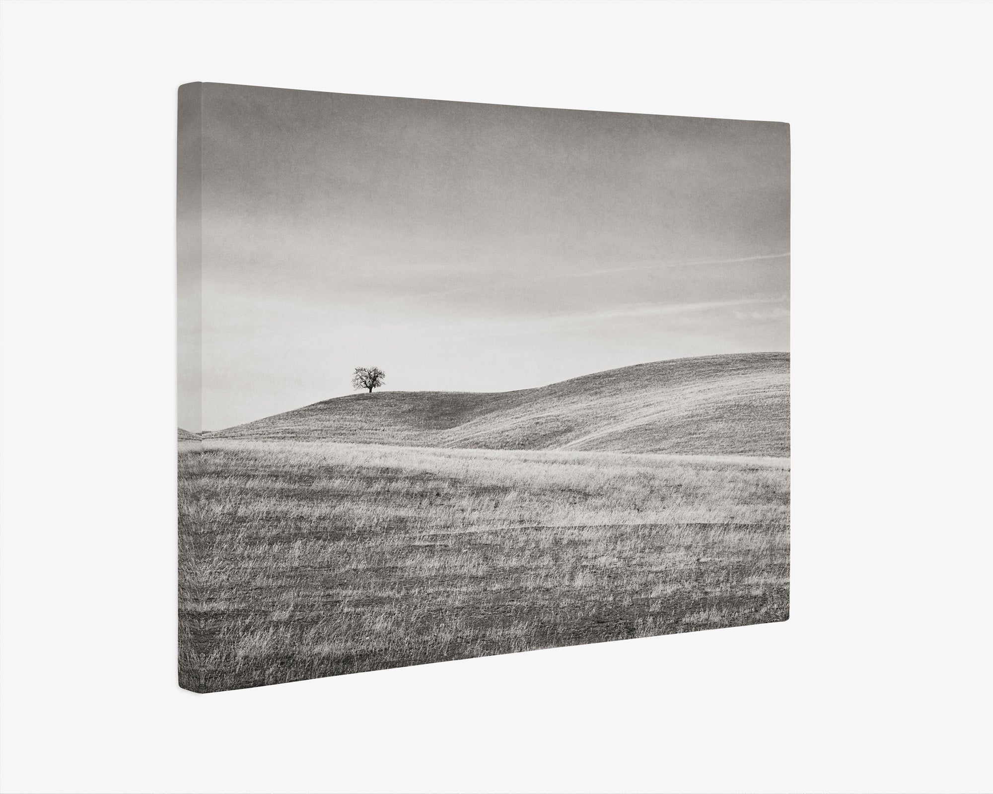 California Central Coast Landscape Canvas Wall Decor 'Golden Ynez (Black & White)'