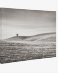 California Central Coast Landscape Canvas Wall Decor 'Golden Ynez (Black & White)'