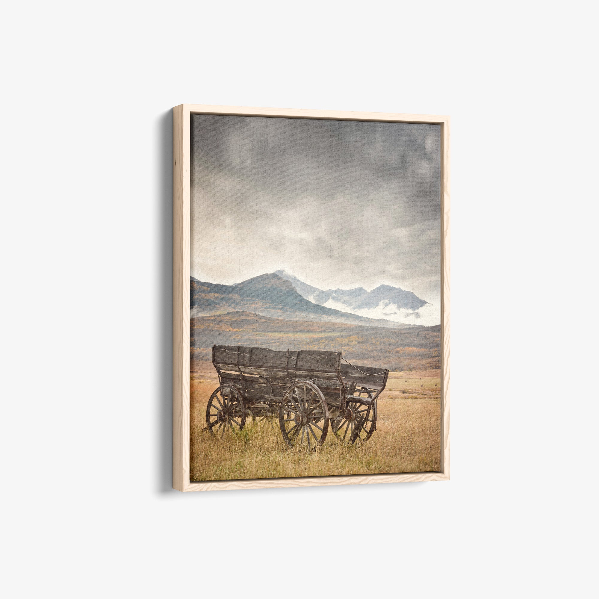 Rustic Farmhouse Canvas Wall Art, 'Old Wagon'