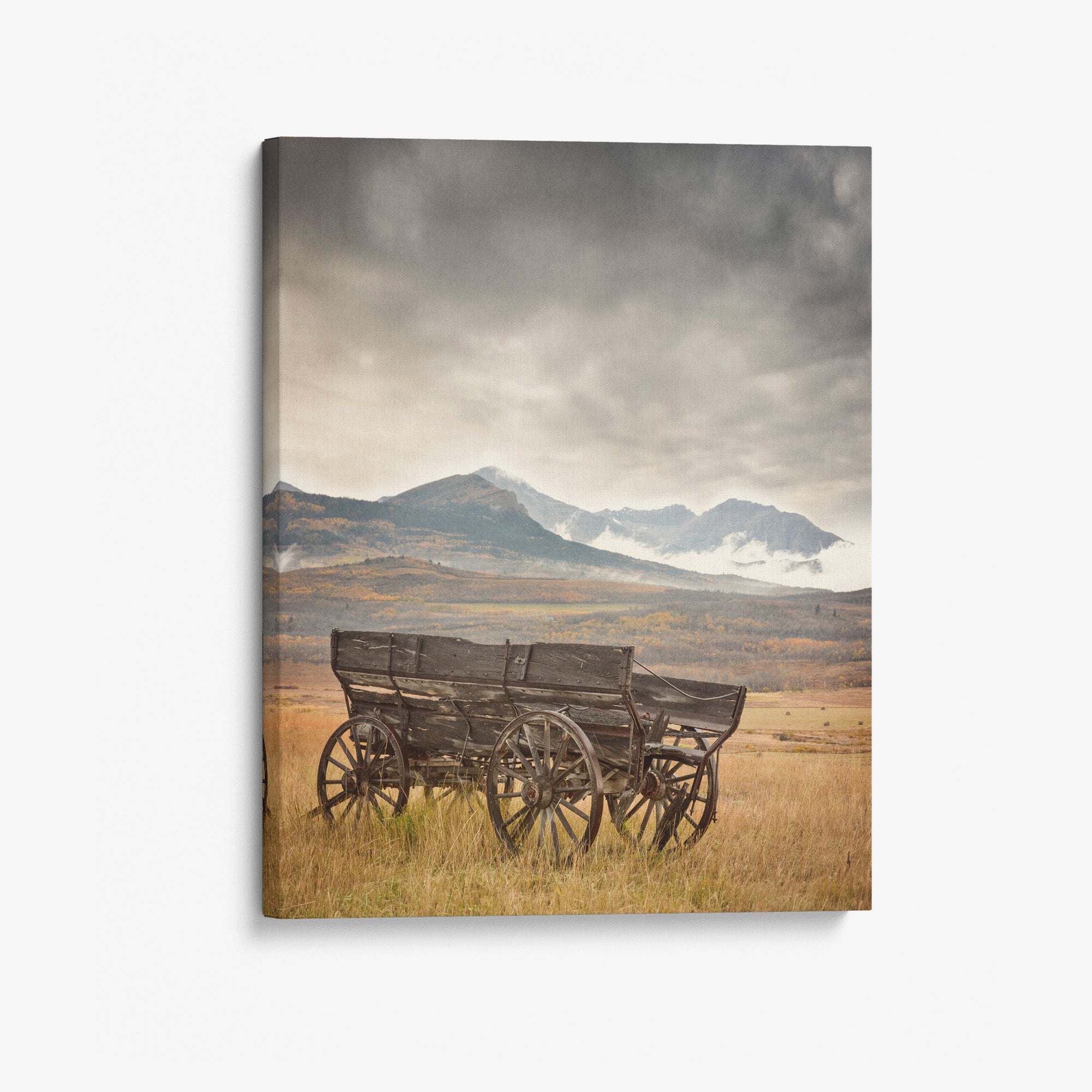 Rustic Farmhouse Canvas Wall Art, 'Old Wagon'