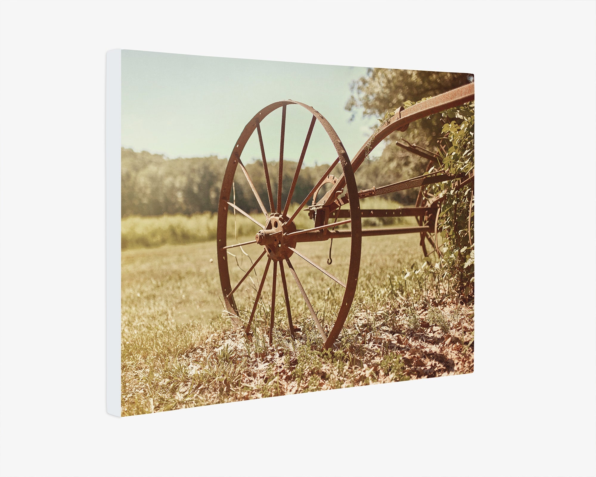 Rustic Farmhouse Canvas Wall Art, 'Rustic Wagon Wheel'