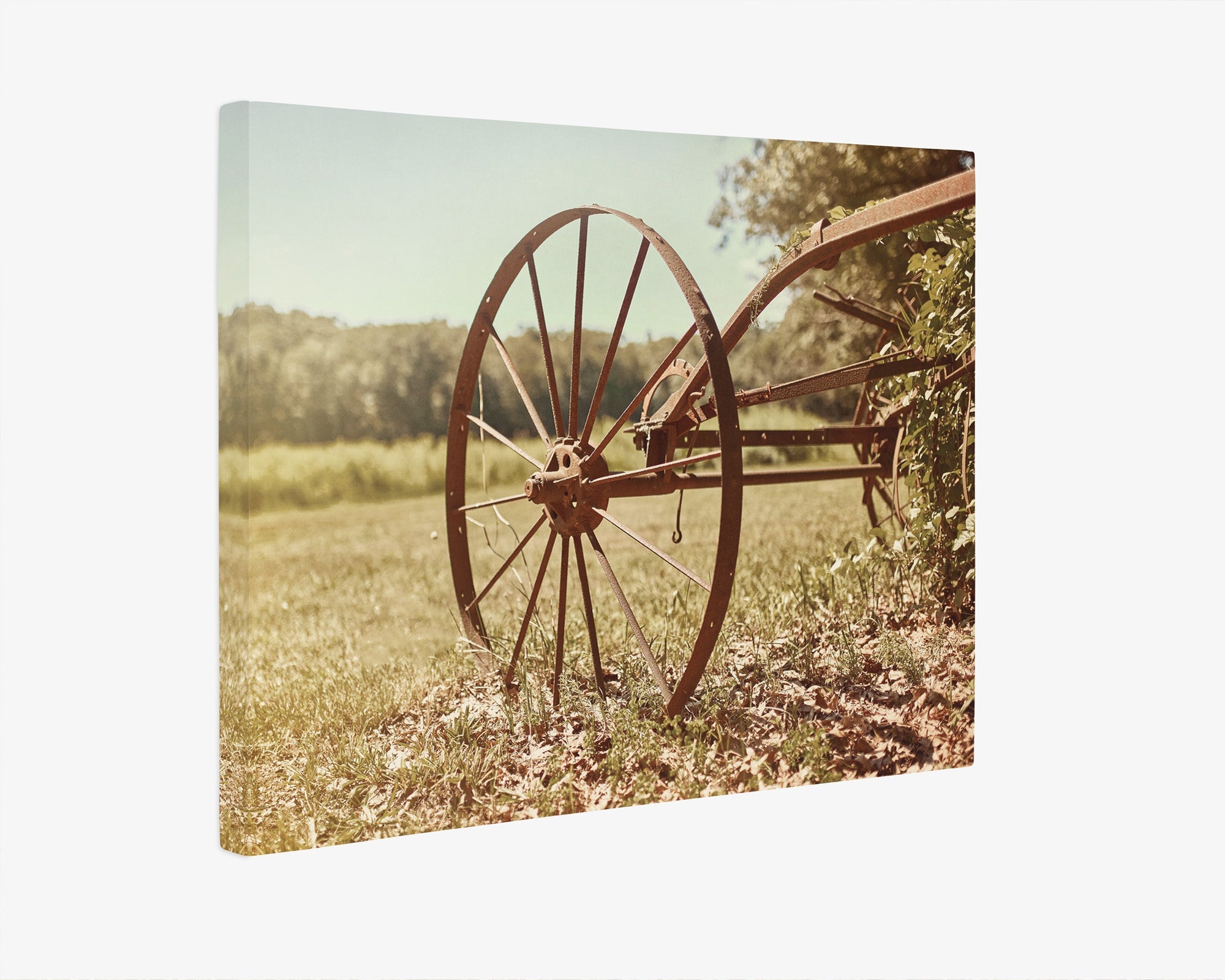 Rustic Farmhouse Canvas Wall Art, 'Rustic Wagon Wheel'