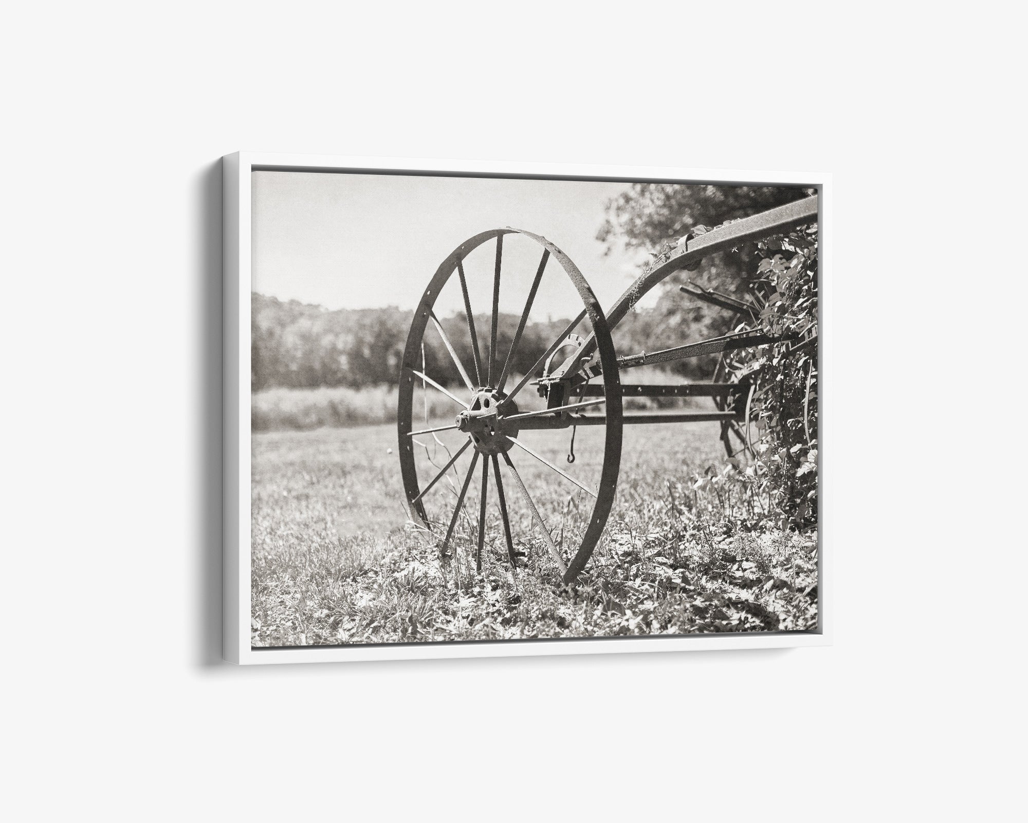 Rustic Farmhouse Canvas Wall Art, 'Rustic Wagon Whee (Black & White)'