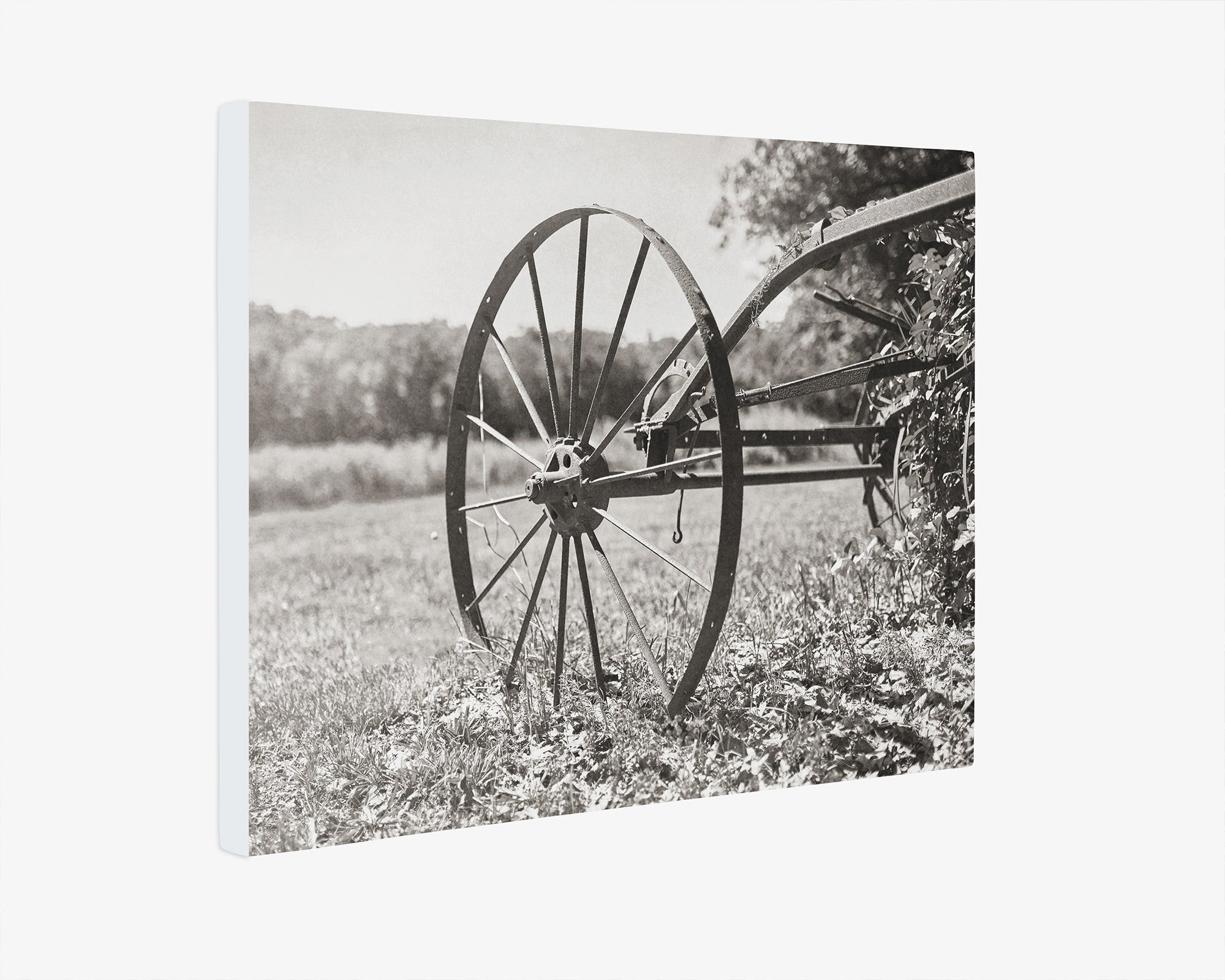 Rustic Farmhouse Canvas Wall Art, 'Rustic Wagon Whee (Black & White)'