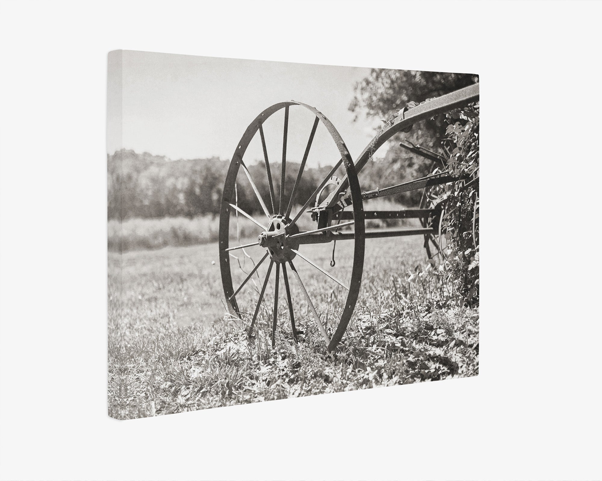 Rustic Farmhouse Canvas Wall Art, 'Rustic Wagon Whee (Black & White)'