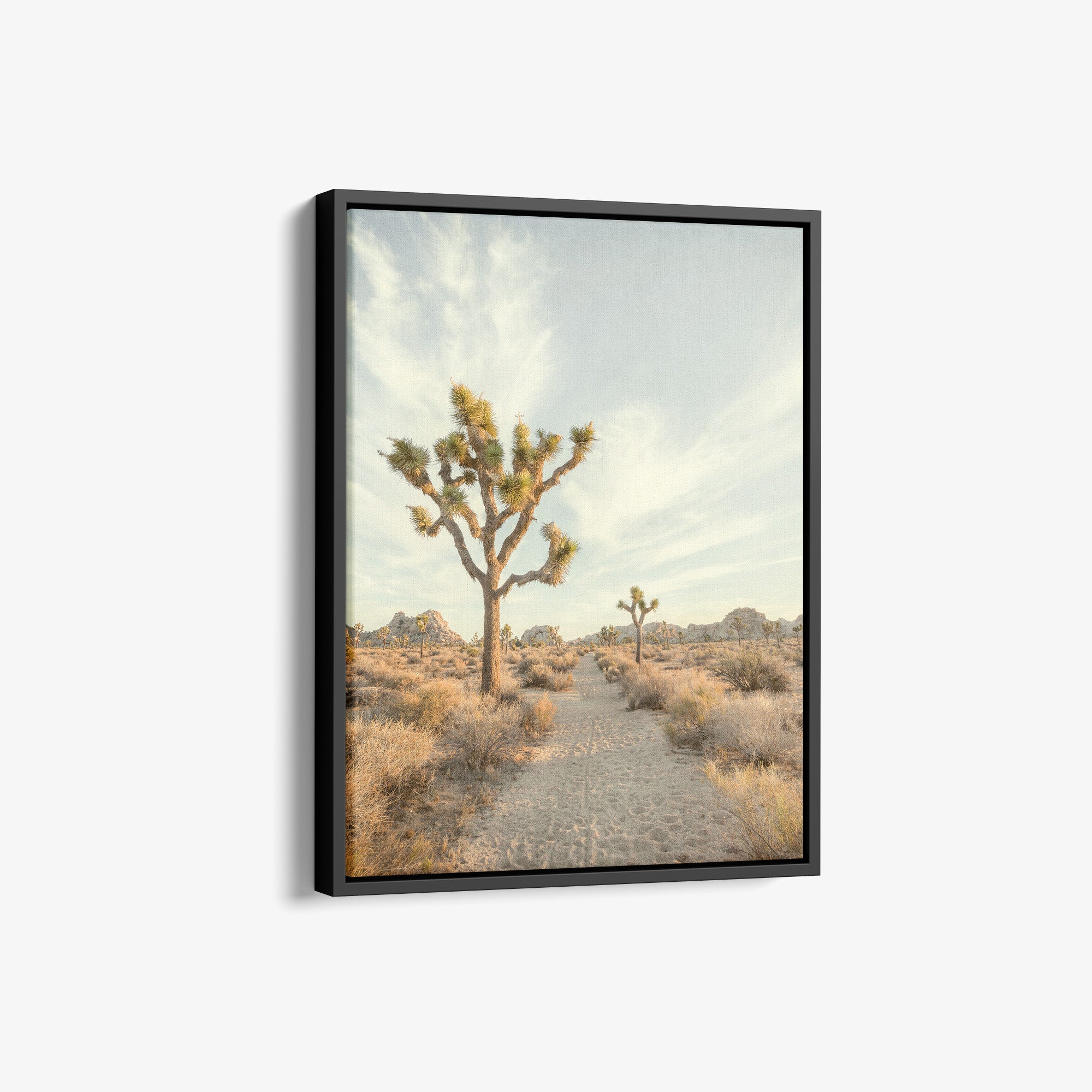 Joshua Tree Print, 'Path to Joshua II'