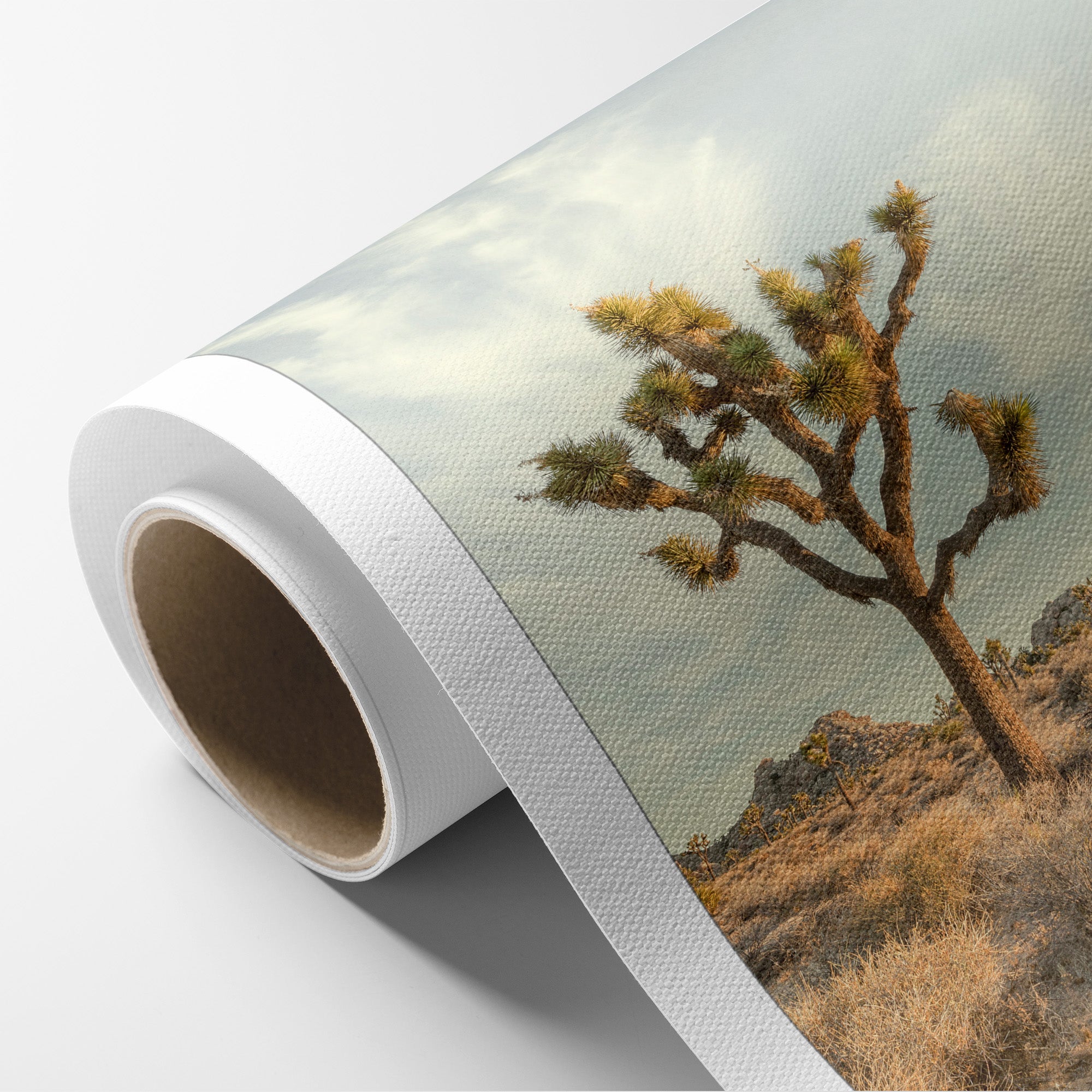 Joshua Tree Print, 'Path to Joshua II'