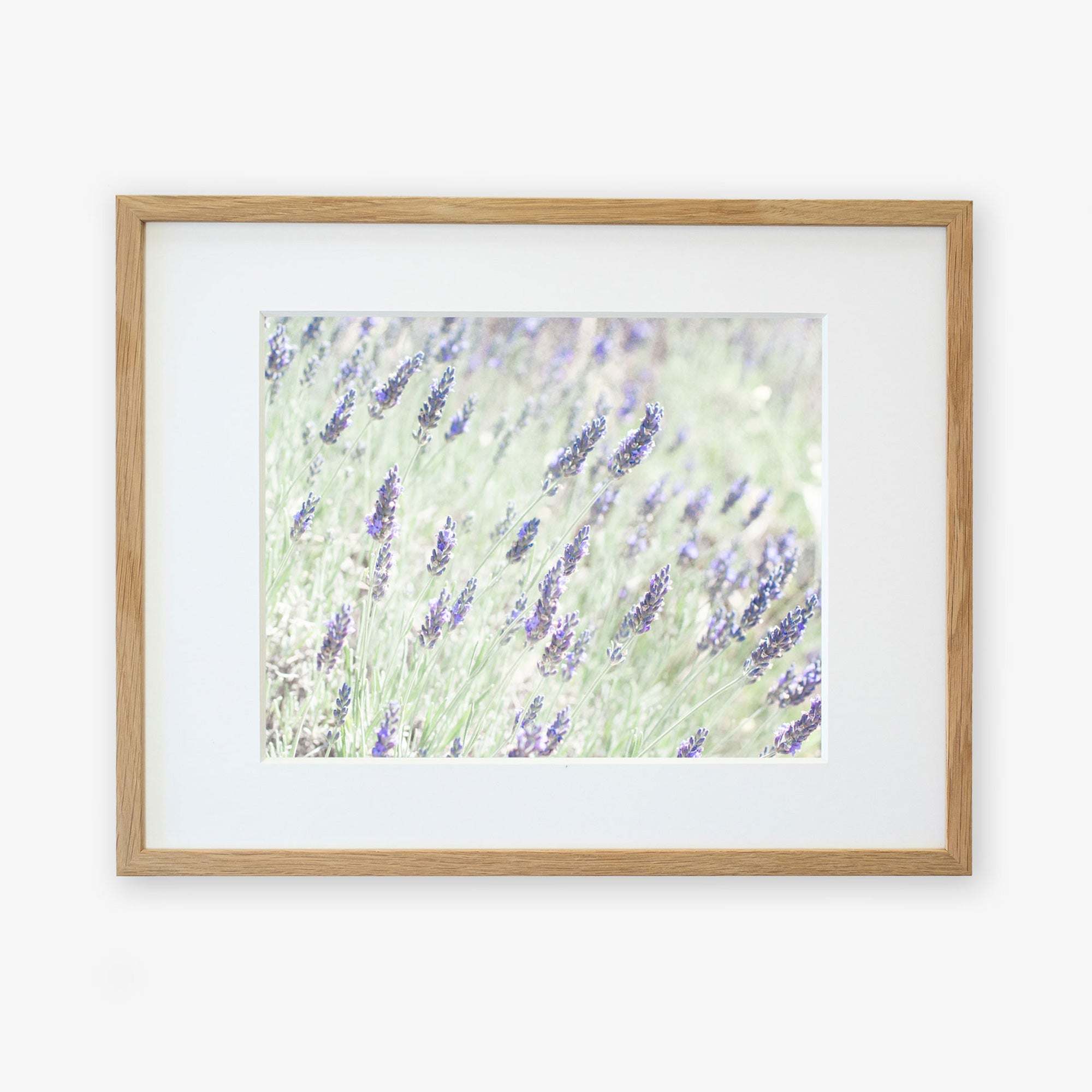 A framed photograph of a Floral Purple Lavender Print,  printed on archival photographic paper, displayed with a light natural wood frame, against a white background by Offley Green.