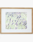 A framed photograph of a Floral Purple Lavender Print,  printed on archival photographic paper, displayed with a light natural wood frame, against a white background by Offley Green.