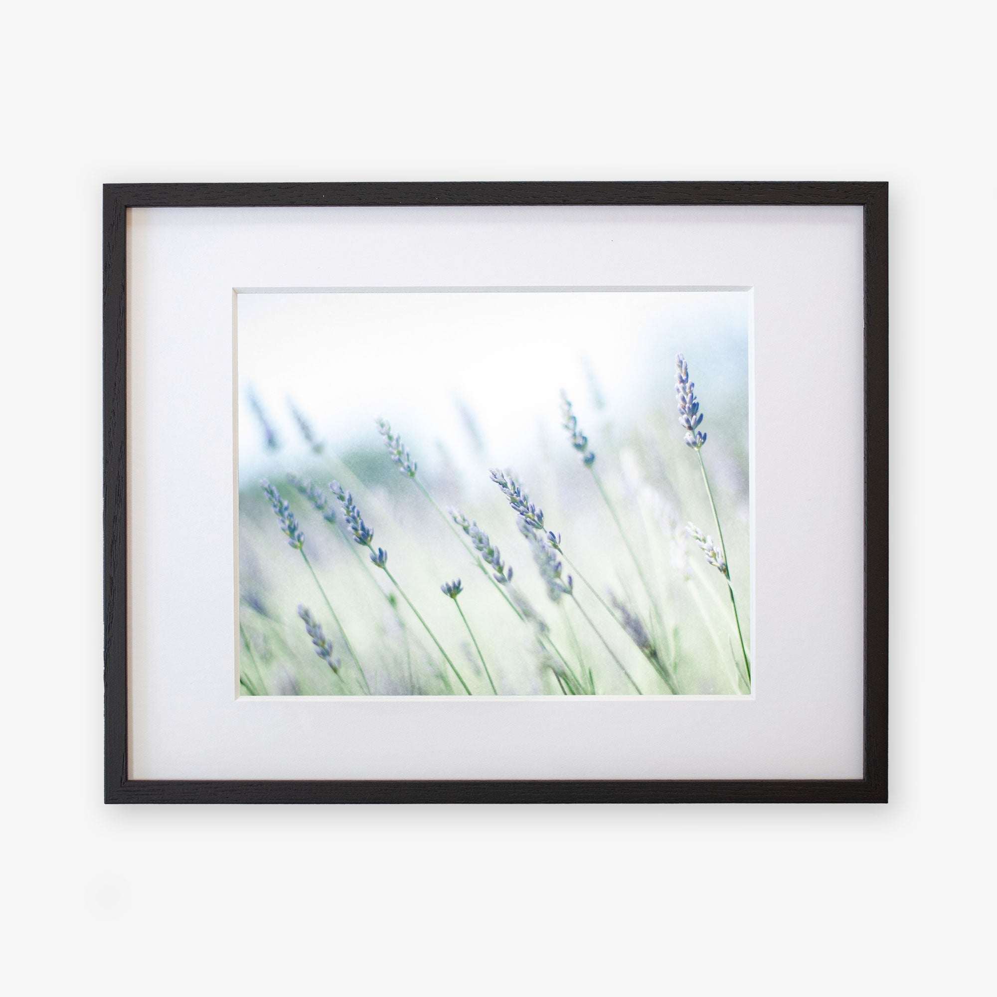 Framed Rustic Farmhouse Floral Wall Art, 'Buds of Lavender' by Offley Green, with a soft focus creating a dreamy atmosphere, mounted on a white background within a black frame.