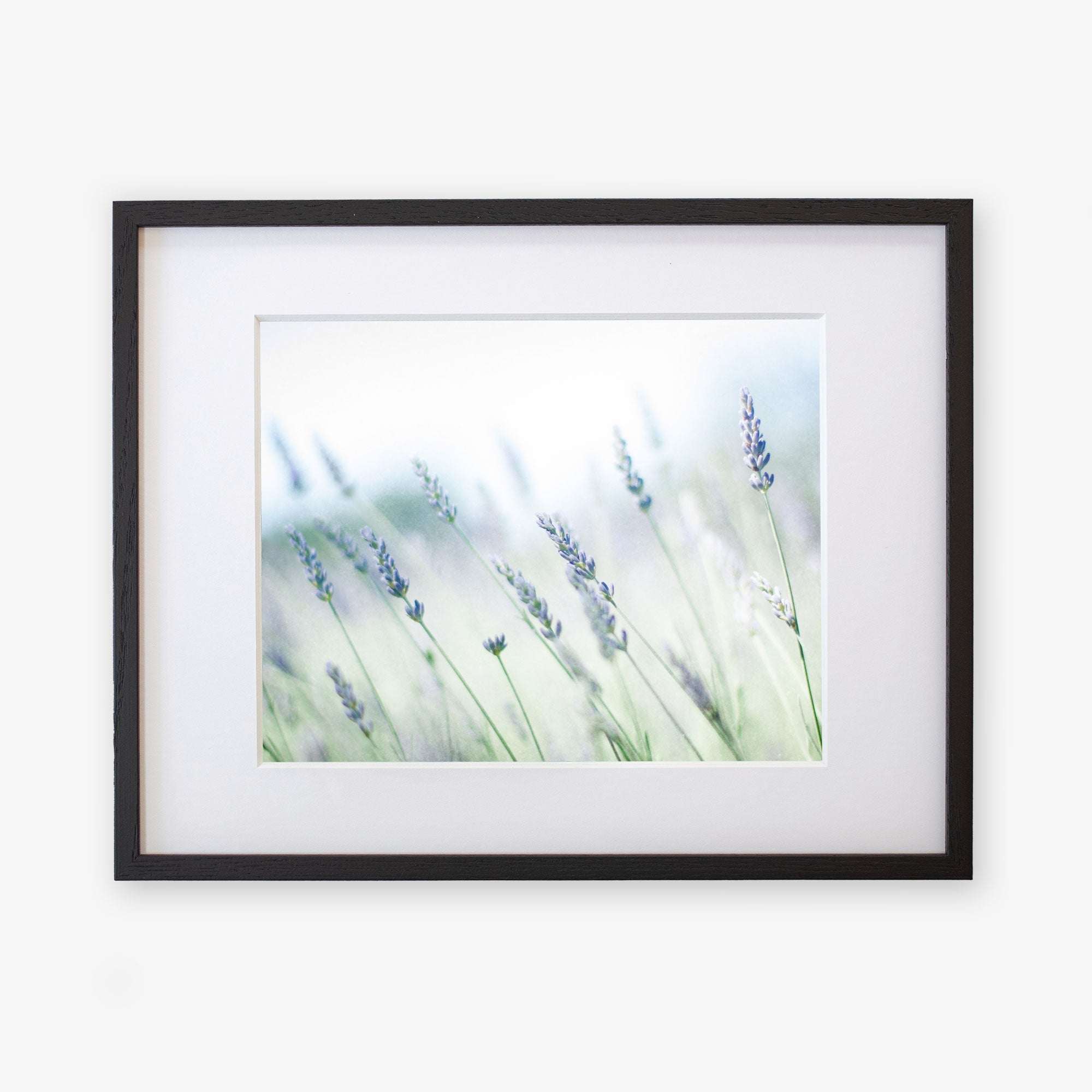 Framed Rustic Farmhouse Floral Wall Art, &#39;Buds of Lavender&#39; by Offley Green, with a soft focus creating a dreamy atmosphere, mounted on a white background within a black frame.