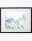 Framed Rustic Farmhouse Floral Wall Art, 'Buds of Lavender' by Offley Green, with a soft focus creating a dreamy atmosphere, mounted on a white background within a black frame.