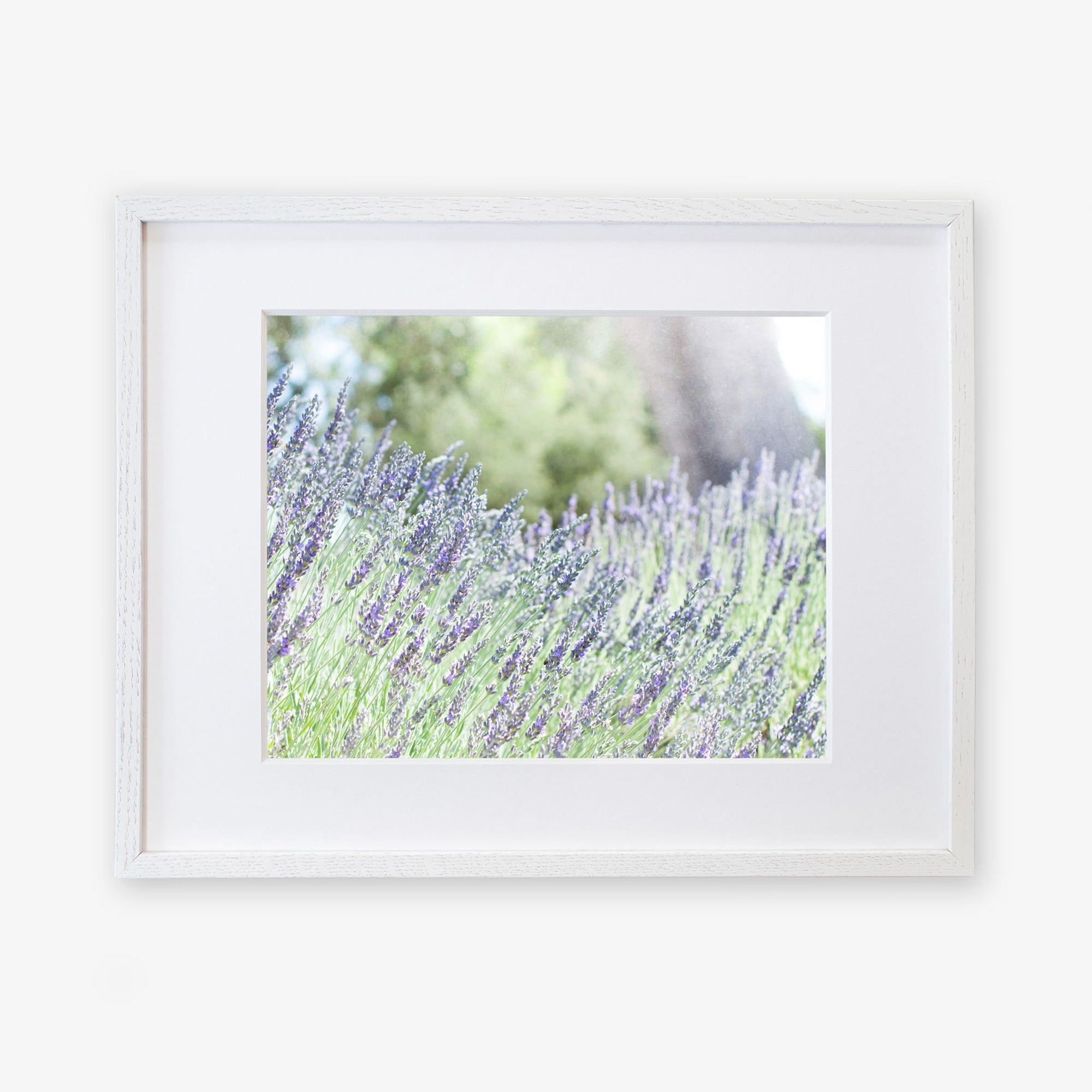 Rustic Floral Print, &#39;Fields of Lavender&#39;