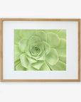 Natural oak frame with matting