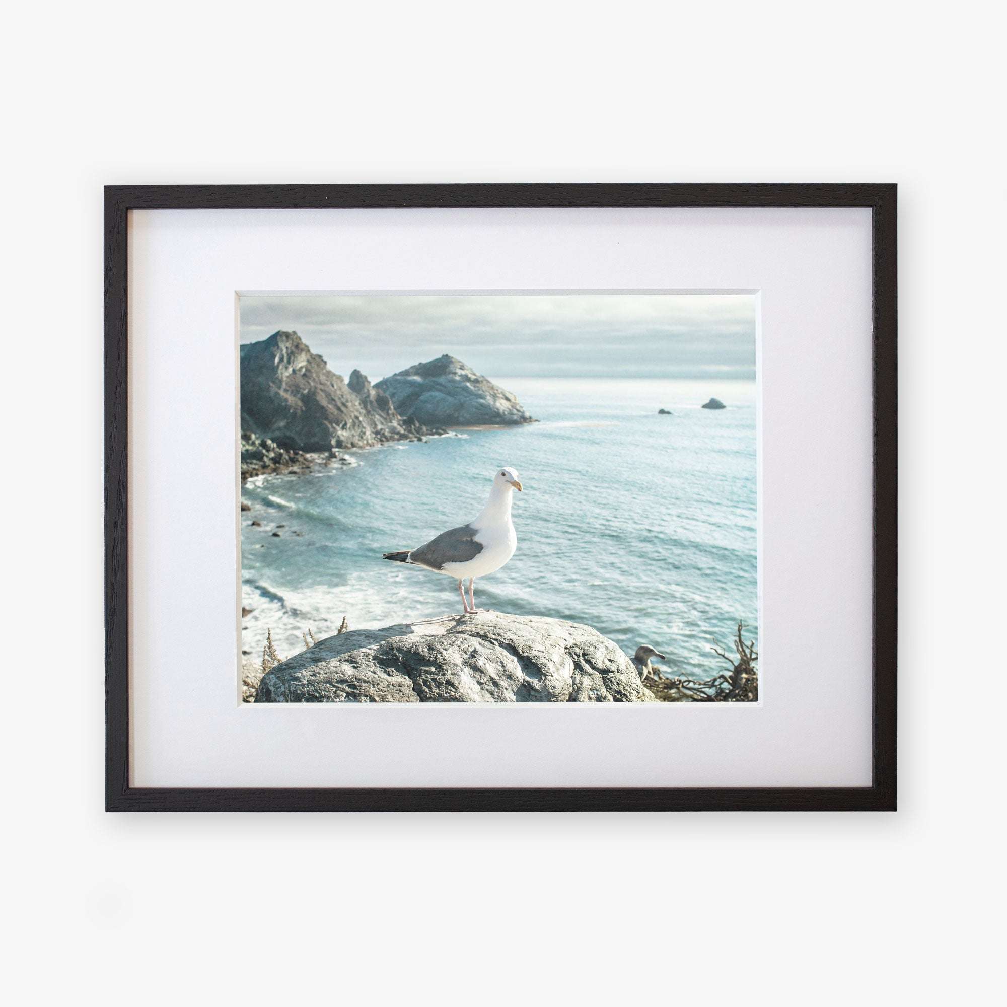 A framed photograph of a Big Sur Landscape Print, &#39;Lobster Mornay For Tea&#39; by Offley Green, printed on archival photographic paper, displayed against a white background.