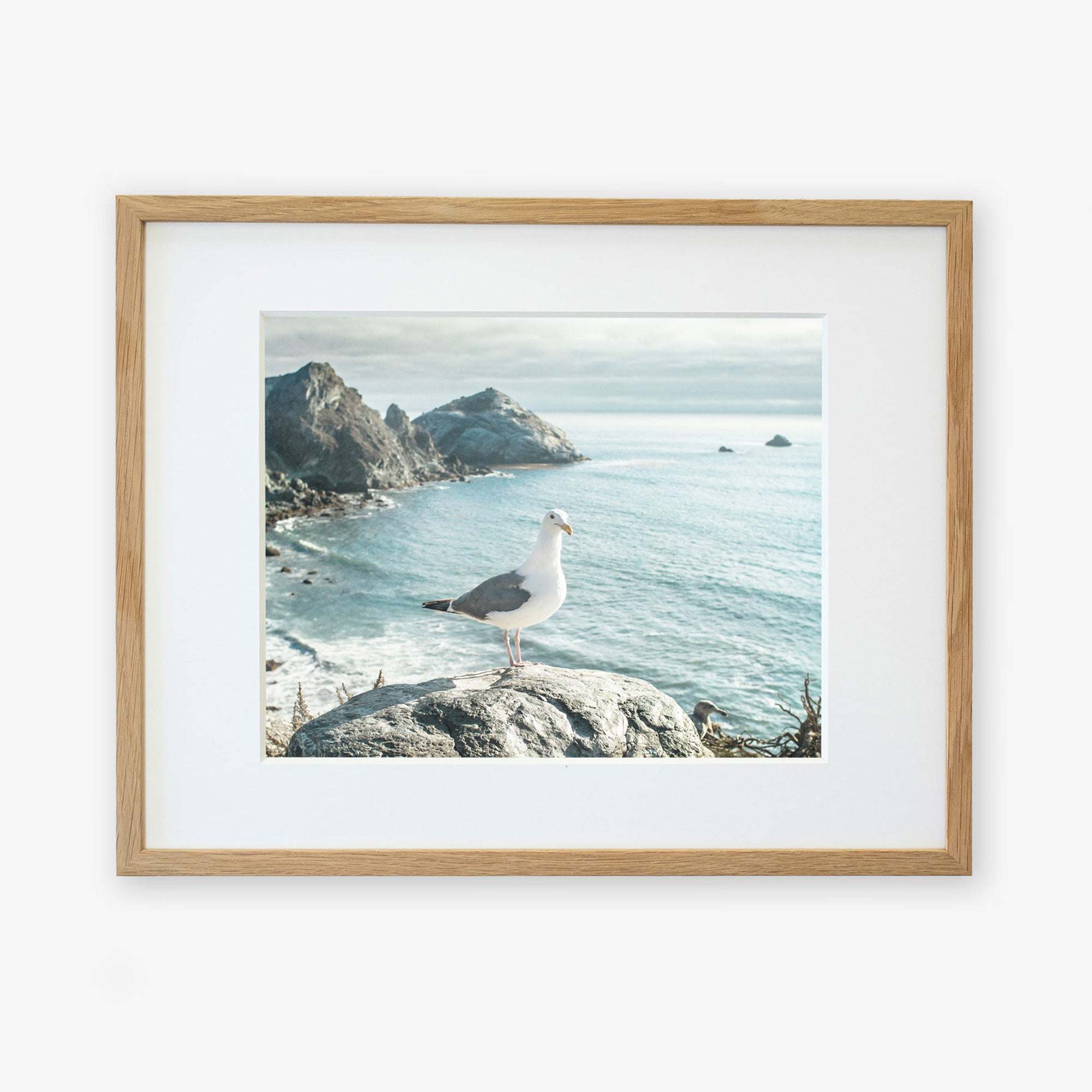 A framed photograph depicting a seagull standing on a rocky cliff with ocean waves and distant rocky islands in the background, printed on archival photographic paper and hung on a white wall - Offley Green's Big Sur Landscape Print, 'Lobster Mornay For Tea'.