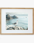 A framed photograph depicting a seagull standing on a rocky cliff with ocean waves and distant rocky islands in the background, printed on archival photographic paper and hung on a white wall - Offley Green's Big Sur Landscape Print, 'Lobster Mornay For Tea'.