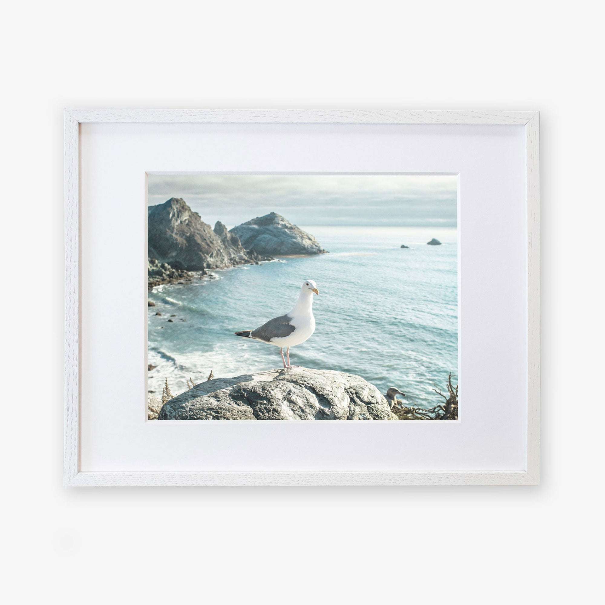 A framed photograph of a seagull standing on a rocky coast overlooking the ocean, with distant cliffs and calm sea visible in the background, printed on archival photographic paper. Offley Green&#39;s Big Sur Landscape Print, &#39;Lobster Mornay For Tea&#39; displays stunning coastal scenery.
