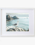 A framed photograph of a seagull standing on a rocky coast overlooking the ocean, with distant cliffs and calm sea visible in the background, printed on archival photographic paper. Offley Green's Big Sur Landscape Print, 'Lobster Mornay For Tea' displays stunning coastal scenery.