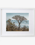 White oak frame with matting