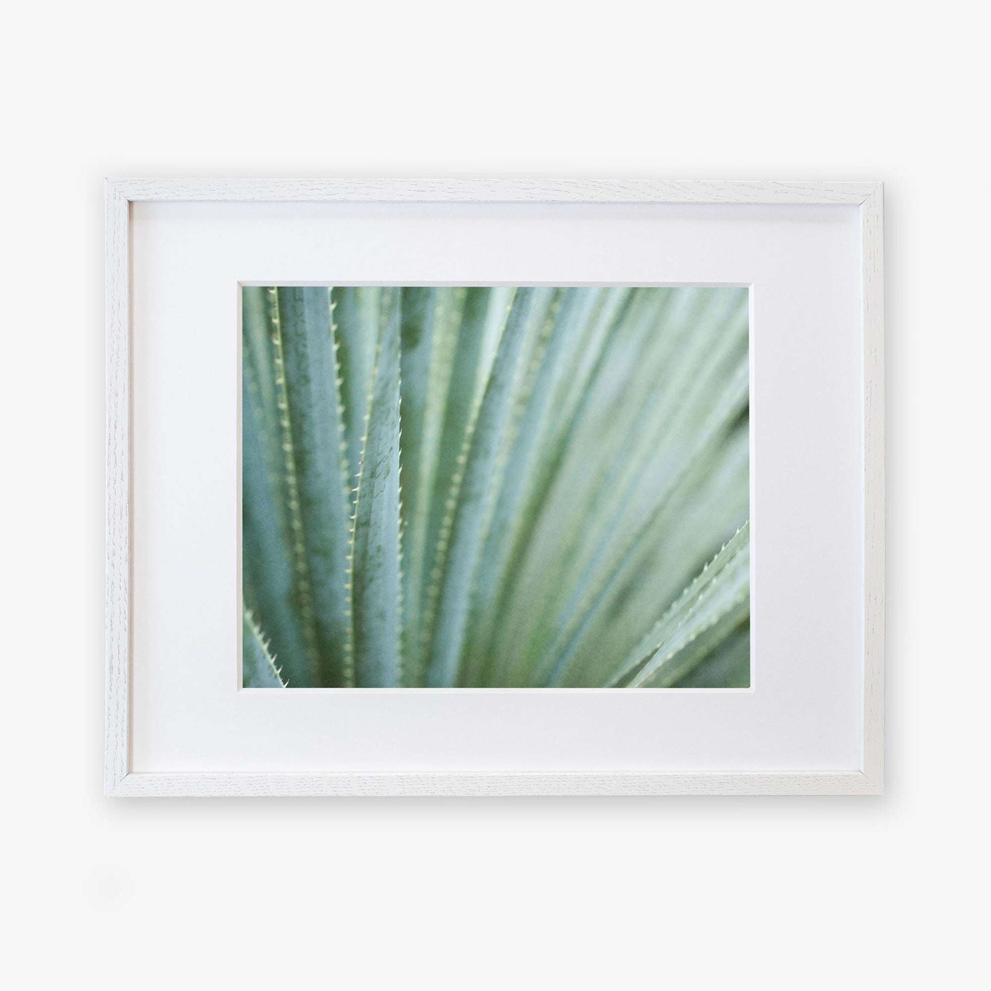 A framed photograph of Abstract Green Botanical Print, 'Strands and Spikes' by Offley Green, visually emphasizing texture and natural patterns, printed on archival photographic paper and displayed in a simple white frame against a white backdrop.