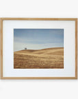 A framed photograph of a serene landscape featuring rolling golden hills and a solitary tree in the Santa Ynez Valley, displayed on a white background. This is the Offley Green California Central Coast Landscape Print 'Golden Ynez'.