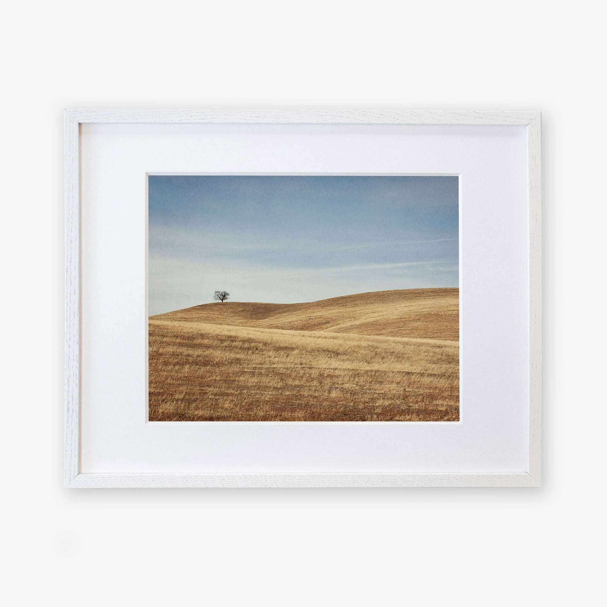 A framed photograph depicting a serene landscape in Santa Ynez Valley with rolling hills covered in dry grass and a solitary tree under a clear sky - Offley Green's California Central Coast Landscape Print 'Golden Ynez'.