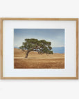 Natural oak frame with matting