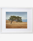 White oak frame with matting