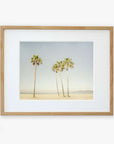 An unframed California Beach Palm Tree Print of five tall palm trees on a sandy beach under a clear sky, printed on archival photographic paper by Offley Green.
