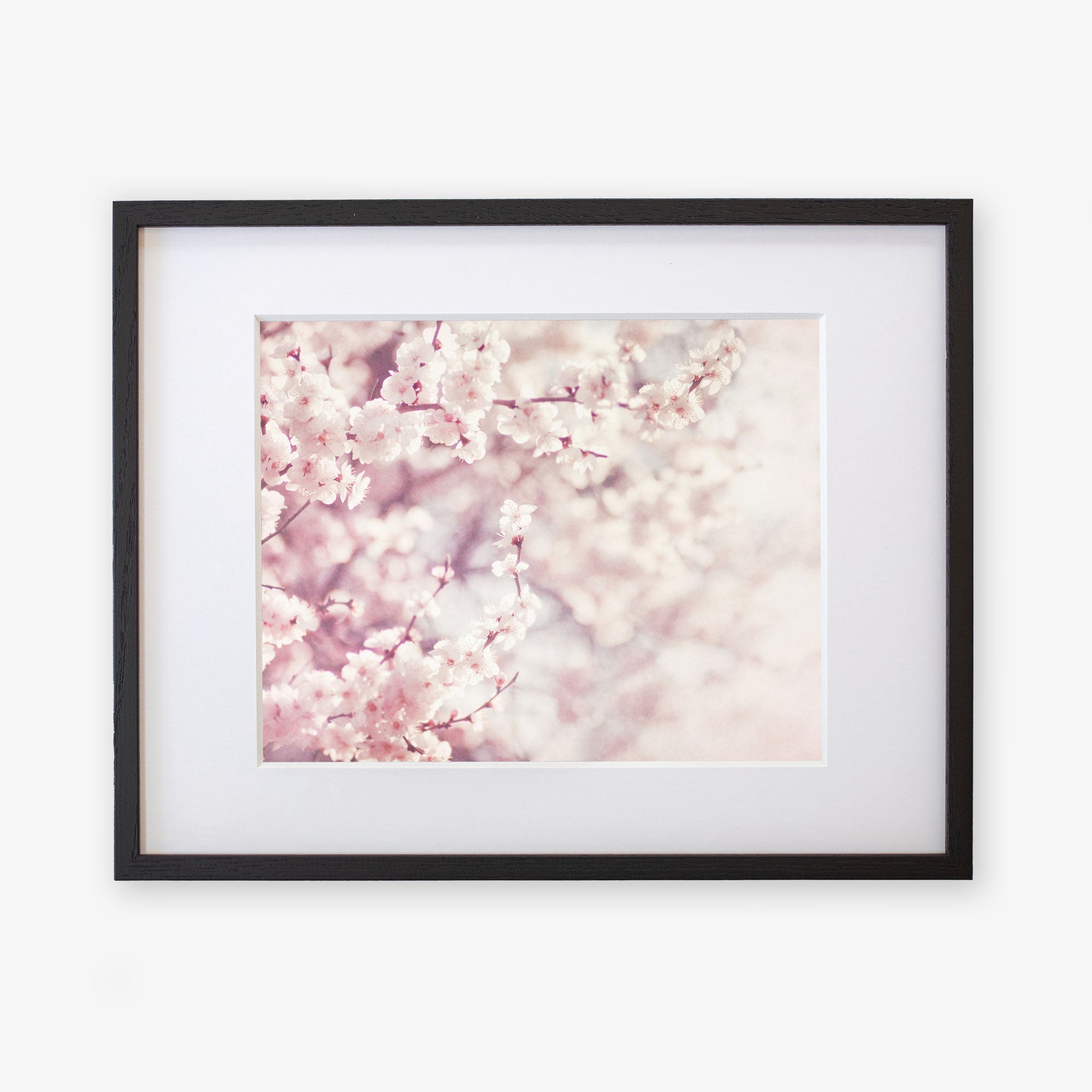 A framed photograph depicting a close-up view of delicate pink cherry blossoms against a softly blurred background, highlighting the floral elegance and pastel hues, Pink Floral Print 'Dreamy Blossom' by Offley Green.