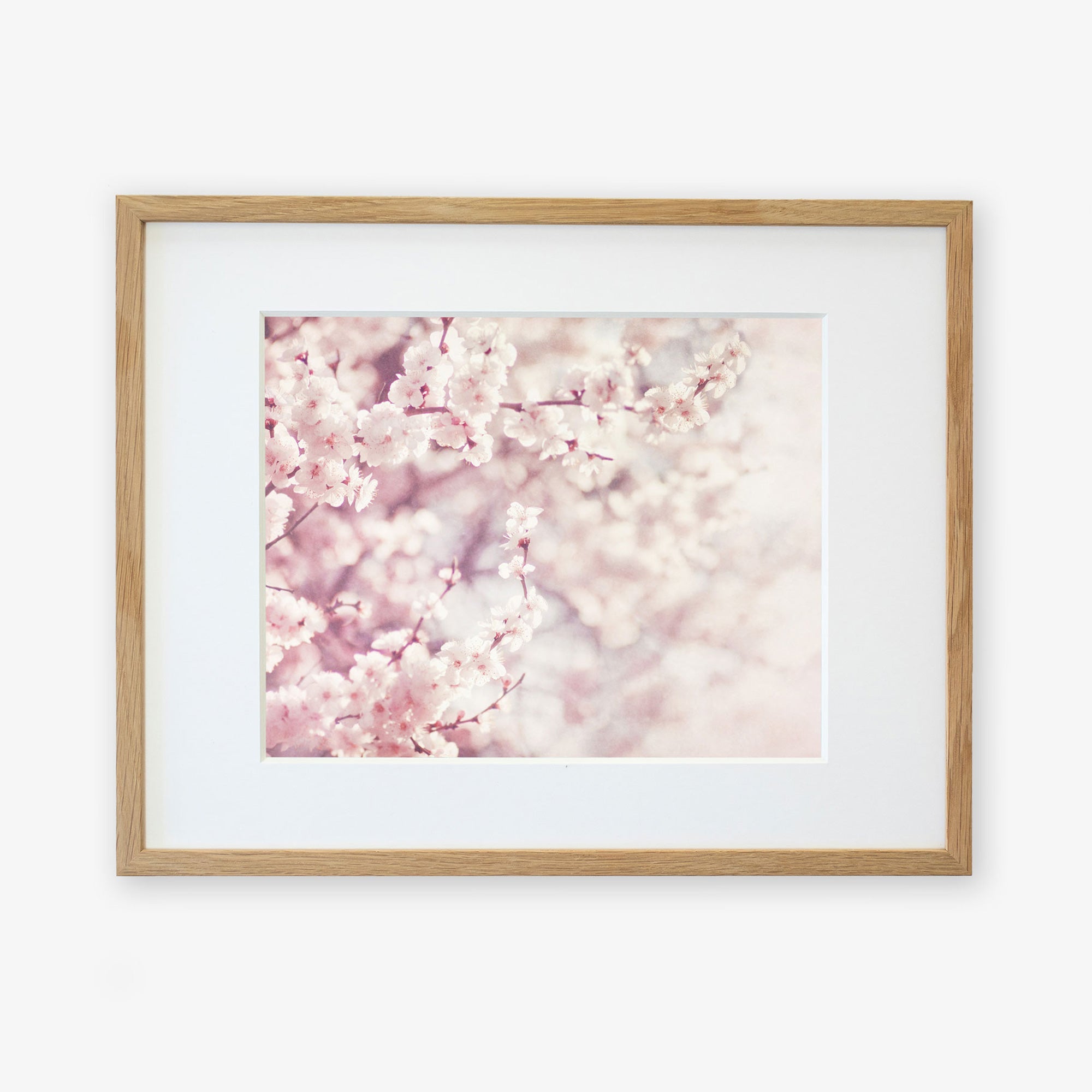 Framed pink floral print of pink cherry blossoms in full bloom, captured on archival photographic paper with a soft-focus background, in a light wooden frame against a white backdrop by Offley Green.