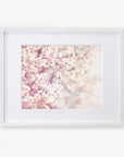 A framed photograph of cherry blossoms in full bloom, printed on archival photographic paper, featuring soft pink colors and delicate flowers densely clustered along the branches, displayed against a blurred background - Offley Green's Pink Floral Print, 'Dreamy Blossom'.