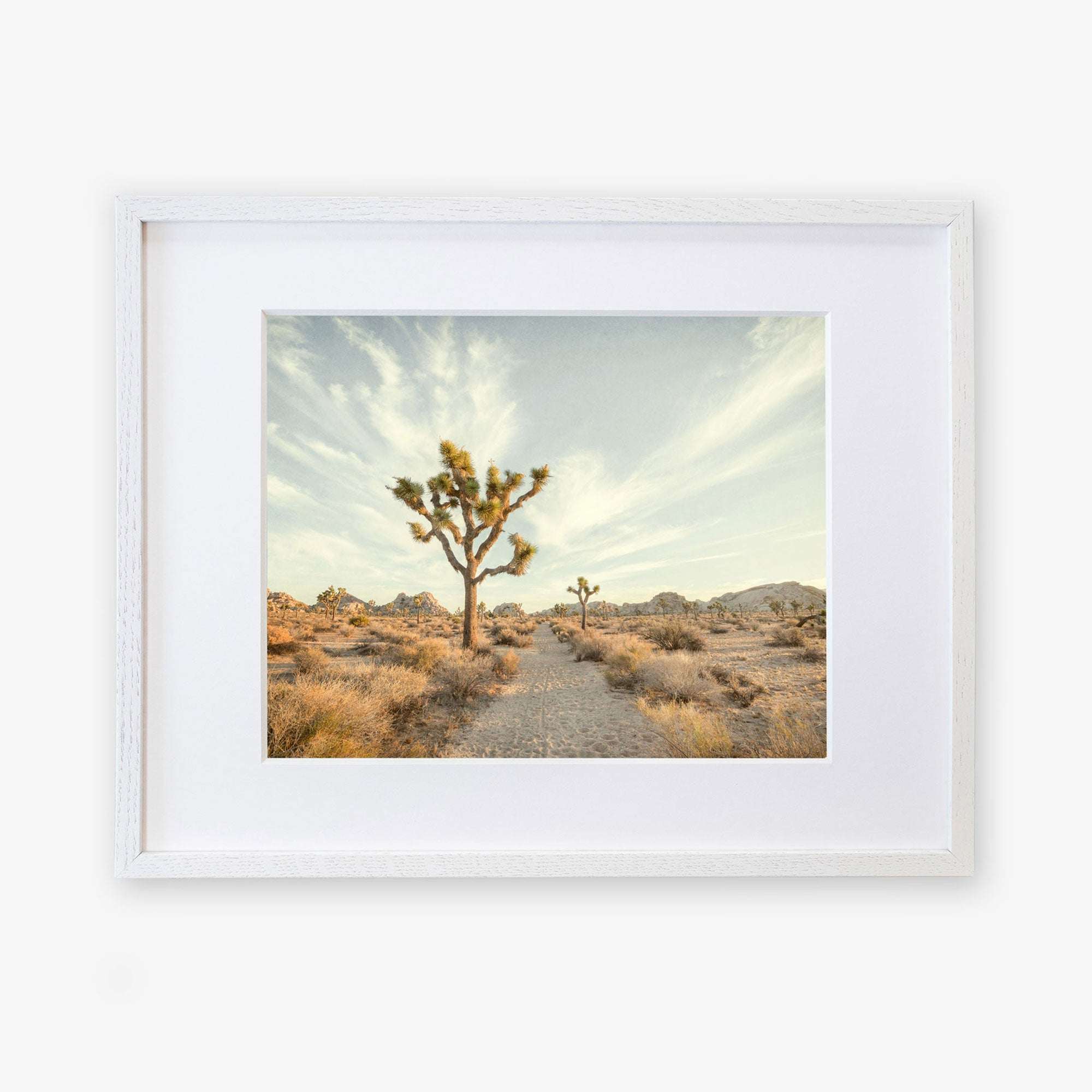 A framed photograph of a desert landscape featuring a prominent Joshua Tree under a sky streaked with wispy clouds, surrounded by sparse desert vegetation on archival photographic paper. 
Product Name: Offley Green Joshua Tree Print, 'Path to Joshua'