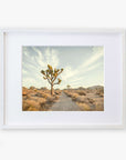 A framed photograph of a desert landscape featuring a prominent Joshua Tree under a sky streaked with wispy clouds, surrounded by sparse desert vegetation on archival photographic paper. 
Product Name: Offley Green Joshua Tree Print, 'Path to Joshua'