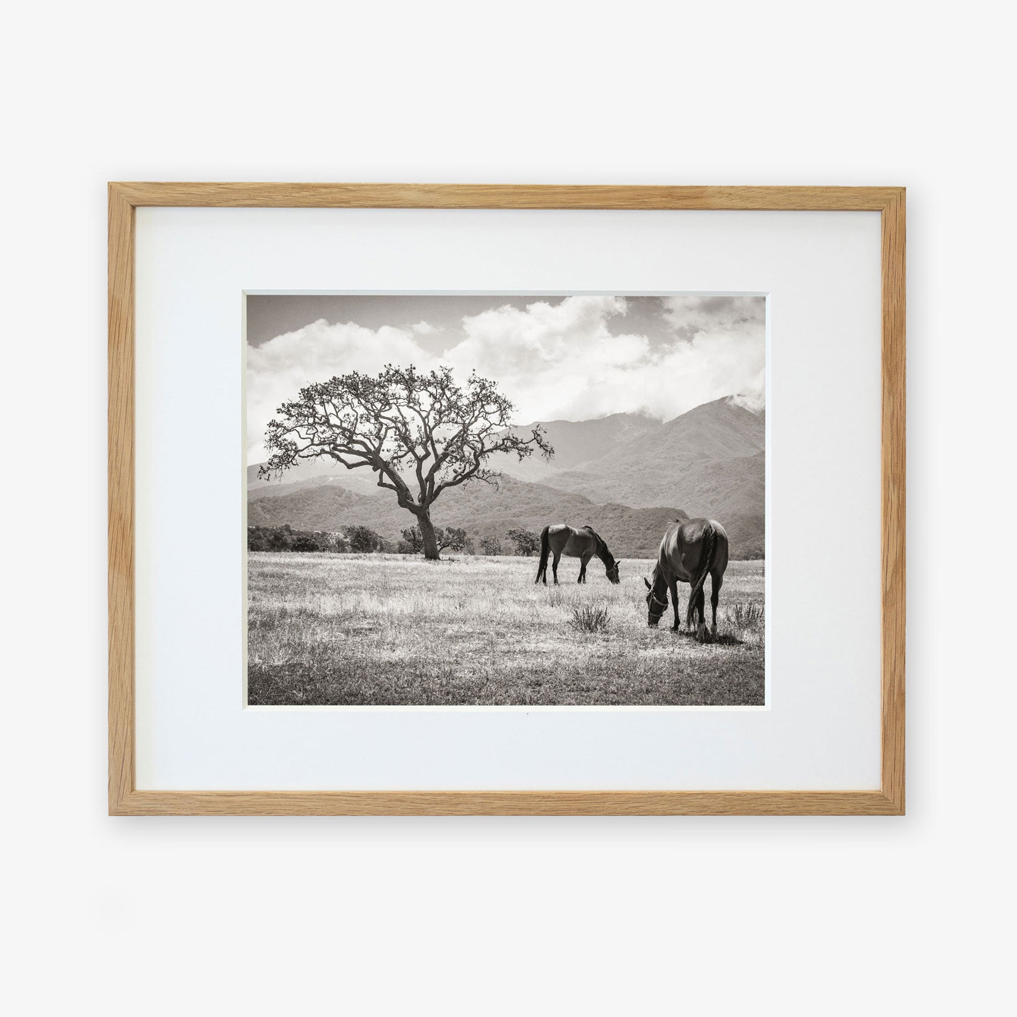 Rustic Print of Horses in a Field, 'Santa Ynez Horses (Black and White)'