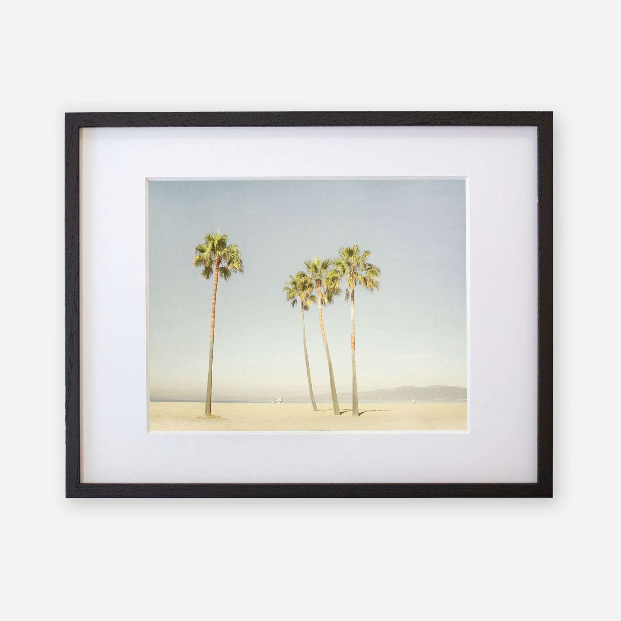 Unframed photograph of five tall palm trees on Venice Beach under a clear sky. The image is printed on archival photographic paper, emphasizing the simplicity and tranquility of the scene. It is the California Beach Palm Tree Print by Offley Green, titled 'Boardwalk Palms'.