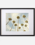 Framed artwork featuring a view of tall California palm trees from below against a cloudy blue sky background, printed on archival photographic paper with a non-glossy lustre finish is the Offley Green Palm Tree Print, California Beach Scene 'Reach for the Palms'.