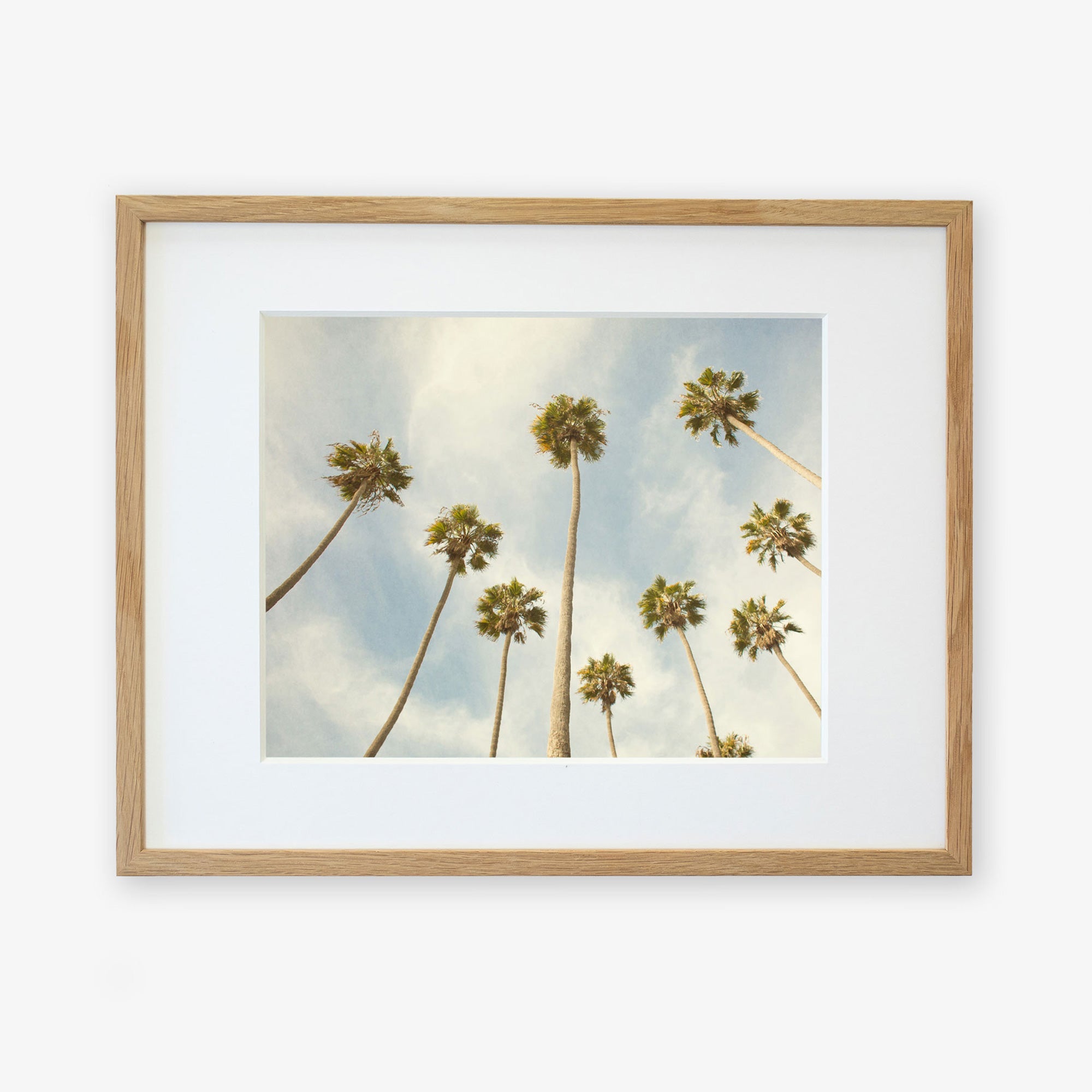 A framed photograph of the Offley Green 'Reach for the Palms' Palm Tree Print, showcasing tall California palm trees against a cloudy sky, viewed from below to highlight the long trunks and leafy tops.